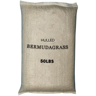 Penn 50# Bermudagrass 95/85 Hulled — photo 1 of 2