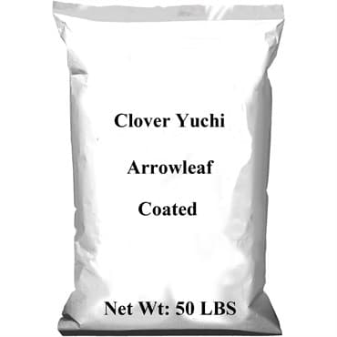 Clover, Yuchi Arrowleaf Coated 50# — photo 1 of 2