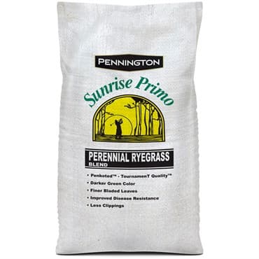 Perennial Ryegrass Sunrise Primo BT TQ PK 50# — photo 1 of 2