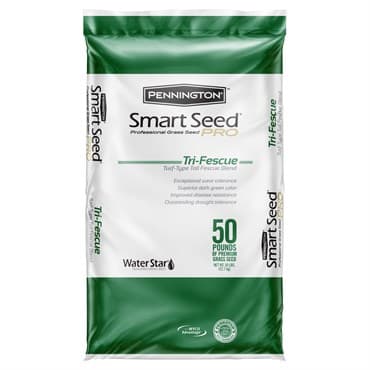 Penn 50# Smart Seed Pro Tri Fescue Tall Fescue — photo 1 of 2