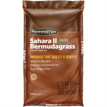 Penn 50# Sahara II Unhulled Bermuda Penkoted — photo 1 of 2