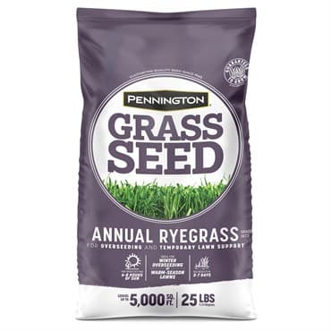 Penn 25# Annual Ryegrass Retail — photo 1 of 2