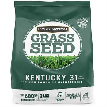 Penn 3# Kentucky 31 Fescue Pk Pencoted — photo 1 of 2