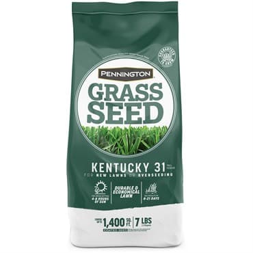 Penn 7# Kentucky 31 Fescue Pk Pencoted — photo 1 of 2