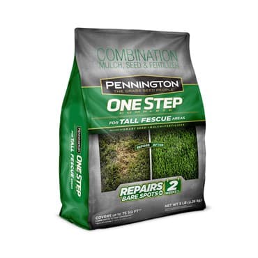 Penn 5# 1 Step Tall Fescue Mulch — photo 1 of 2