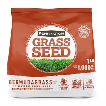 Penn 1# Bermudagrass Grass Seed — photo 1 of 2