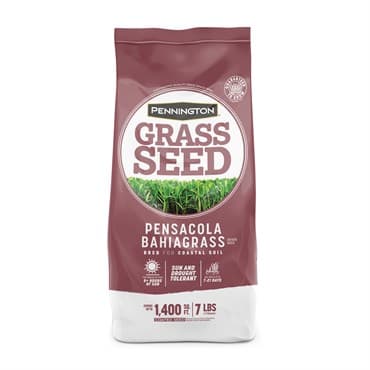 Penn 7# Pensacola Bahiagrass Pencoted — photo 1 of 2