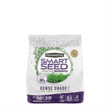 Penn 3# Smart Seed Dense Shade Mix Pcf — photo 1 of 2