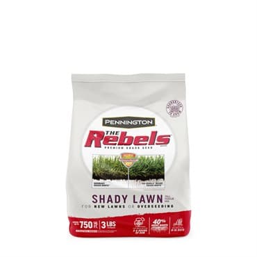 Penn 3# The Rebels Shady Lawn Mix Pc — photo 1 of 2