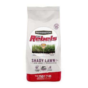 Penn 7# The Rebels Shady Lawn Mix Pc — photo 1 of 2