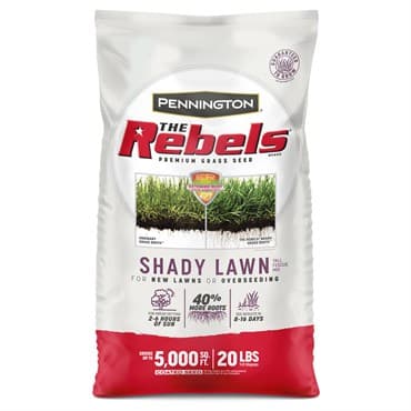 Penn 20# The Rebels Shady Lawn Mix Pc — photo 1 of 2