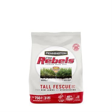 Penn 3# The Rebels Tall Fescue Blend Pc — photo 1 of 2