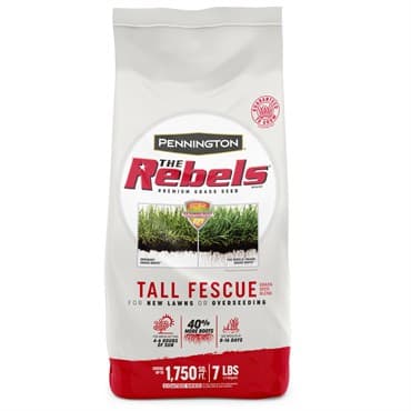 Penn 7# The Rebels Tall Fescue Blend Pc — photo 1 of 2
