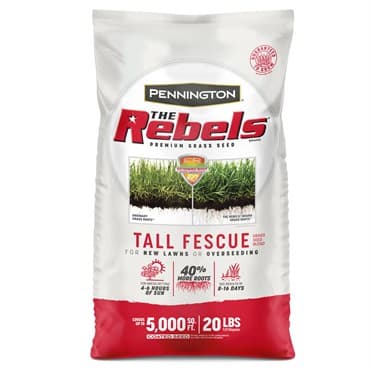 Penn 20# The Rebels Tall Fescue Blend Pc — photo 1 of 2