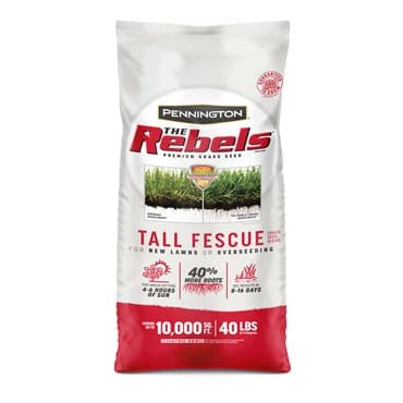 Penn 40# The Rebels Tall Fescue Blend Pc — photo 1 of 2