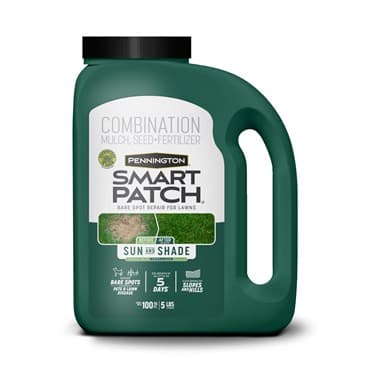 Penn 5# Smart Patch Sun & Shade N Jug — photo 1 of 2