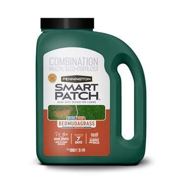 Penn 5# Smart Patch Bermuda Jug — photo 1 of 2