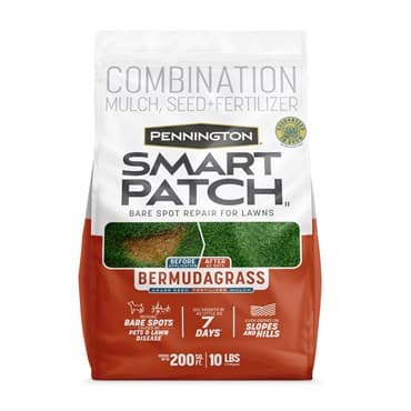 Penn 10# Smart Patch Bermuda — photo 1 of 2