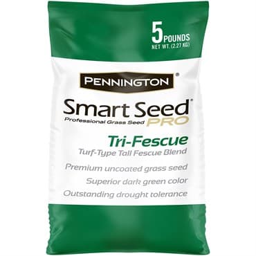 Pennington 5# Smart Seed Pro Trifescue — photo 1 of 2
