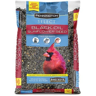 Penn Select 10# Black Oil Sunflower Seed — photo 1 of 2