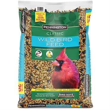 Penn 10# Wild Bird Feed — photo 1 of 2