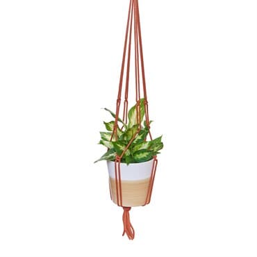 Primitive 36" Rust Macrame Plant Hanger — photo 1 of 2