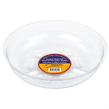 Plant Stand 6" Down Under Saucer Clear — photo 1 of 2