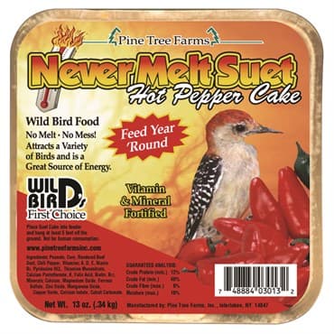 Pine Tree 12oz Hot Pepper Never Melt Suet Dough — photo 1 of 2