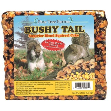 Pine Tree 2.5# Bushy Tail Cake MADE IN THE USA SEED — photo 1 of 2
