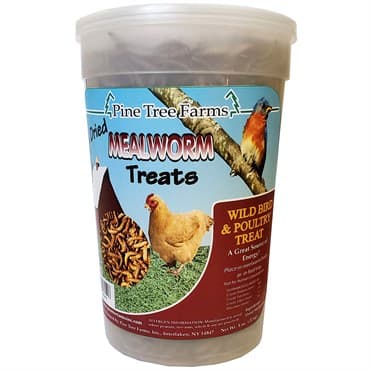 Pine Tree 8oz Dried Mealworm Treats — photo 1 of 2