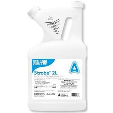 QP Strobe 2L 1Gl (2/CS) ( Azoxystrobin ) — photo 1 of 2
