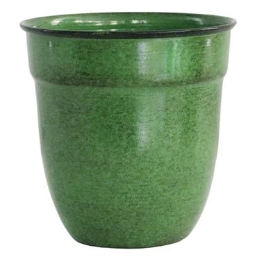 Robert Allen 5" Mini Venti Planter Kale — photo 1 of 2