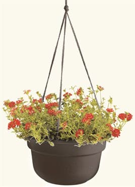 Bloem 12" Dura Cotta Hanging Basket Black — photo 1 of 2