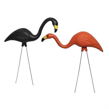 Bloem 2Pk Spooky Flamingo — photo 1 of 2