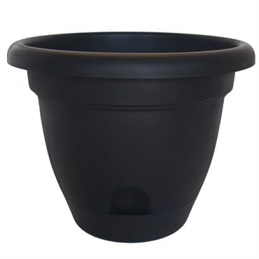 Bloem 6" Lucca Planter Black — photo 1 of 2