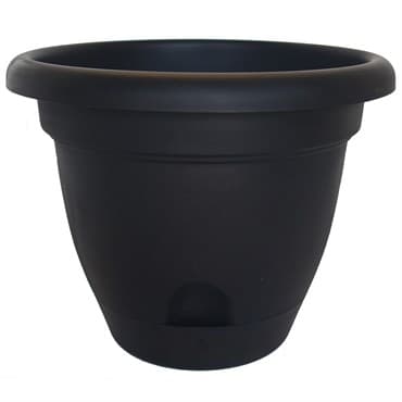 Bloem 8" Lucca Planter Black — photo 1 of 2