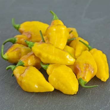 Peppers, Habanero Yellow 100 Seed Count — photo 1 of 2
