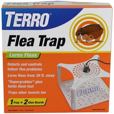 Terro Flea Trap — photo 1 of 2