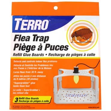 Terro Flea Trap Refill — photo 1 of 2