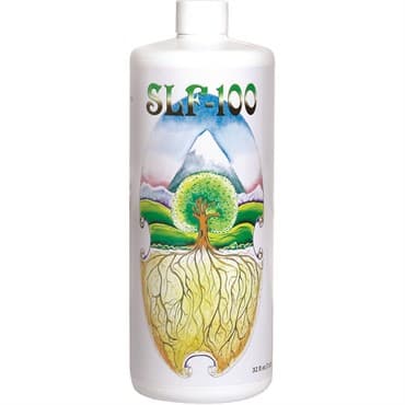 SLF-100 Quart Bottle — photo 1 of 2