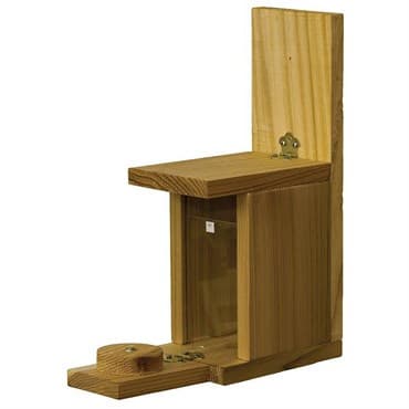 Stovall Squirrel Peanut Feeder MADE IN THE USA — photo 1 of 2