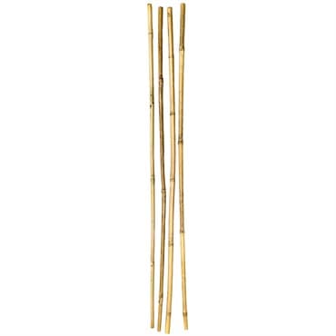 SuperMoss 4pk 36" Bamboo Stakes Natural — photo 1 of 2