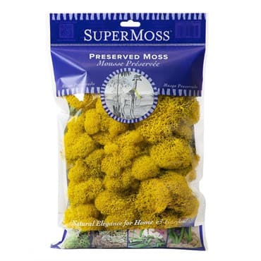 SuperMoss 2oz Reindeer Moss Sunflower — photo 1 of 2