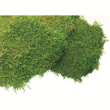SuperMoss 1560cu in Bulk Sheet Moss Fresh Green (Covers 16-18sq ft) — photo 1 of 2
