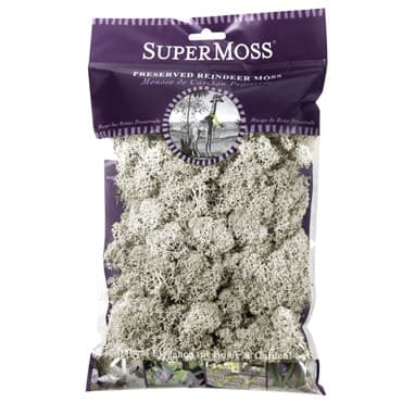 SuperMoss 2oz Reindeer Moss Natural — photo 1 of 2
