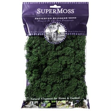 SuperMoss 2oz Reindeer Moss Forest — photo 1 of 2