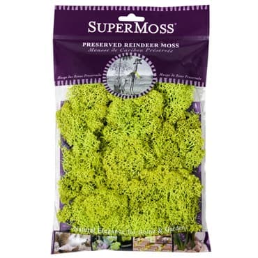 SuperMoss 2oz Reindeer Moss Chartreuse — photo 1 of 2