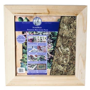 SuperMoss 14"x14" Natural Sphagnum Moss Living Frame — photo 1 of 2