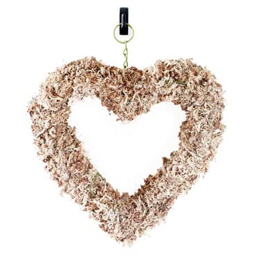 SuperMoss 9" Living Wreath Natural Sphgnum Heart — photo 1 of 2