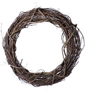 SuperMoss 18" Grapevine Wreath Orchard — photo 1 of 2